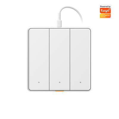 Tuya WIFI Touch Switch Умный дом с голосовым приложением для синхронизации типа C Alexa, Google Home RF433 Smart EU Wall Light Button Switch